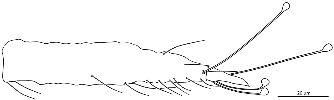 18546.png